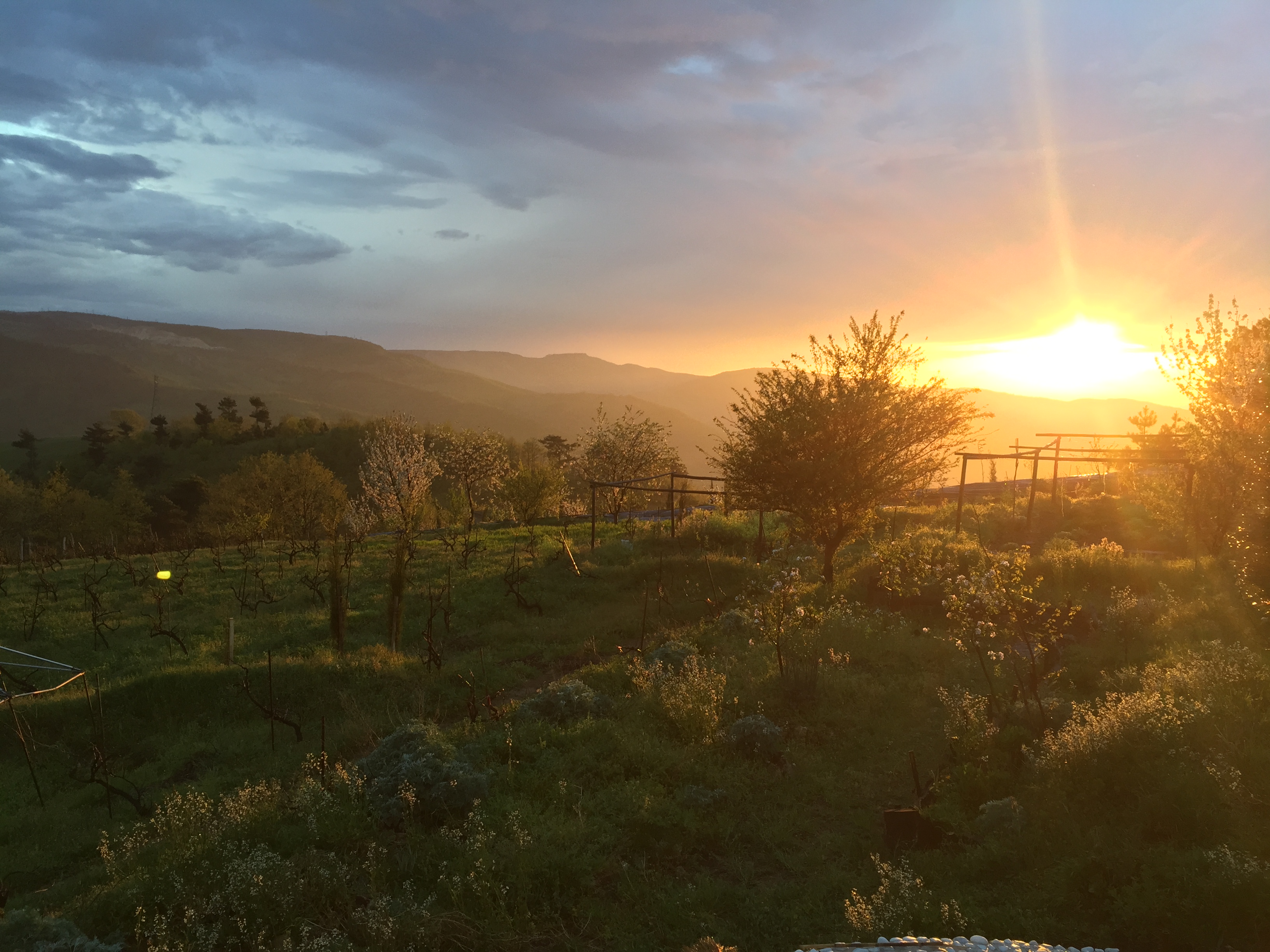 Regenerative Farming at Belentepe Farm
